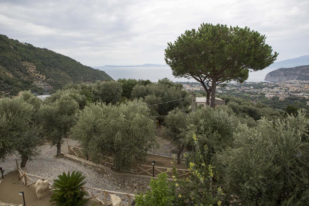 Appartamento Villa Degli Ulivi Sant'Agnello Rum bild