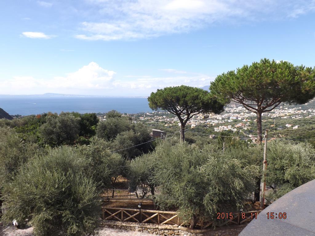 Appartamento Villa Degli Ulivi Sant'Agnello Rum bild