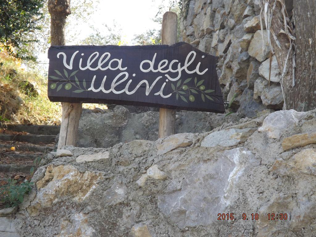 Appartamento Villa Degli Ulivi Sant'Agnello Rum bild